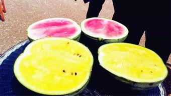 大学吃瓜爆料图片,揭秘大学吃瓜爆料瞬间