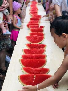 今日吃瓜小能手是谁啊