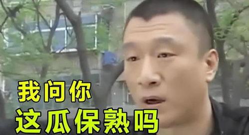 吃瓜娱乐圈陶虹,娱乐圈的瓜田瓜语，揭秘明星背后的故事  第2张